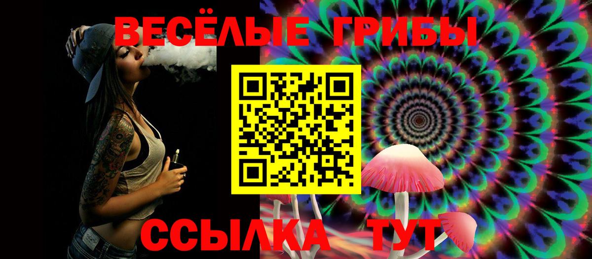 Галлюциногенные грибы мицелий Междуреченск