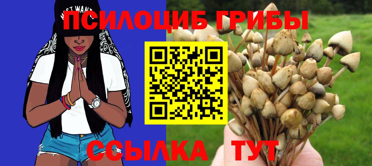 Галлюциногенные грибы Magic Shrooms  Псилоцибиновые грибы ЛСД  Вход с VPN  Междуреченск 